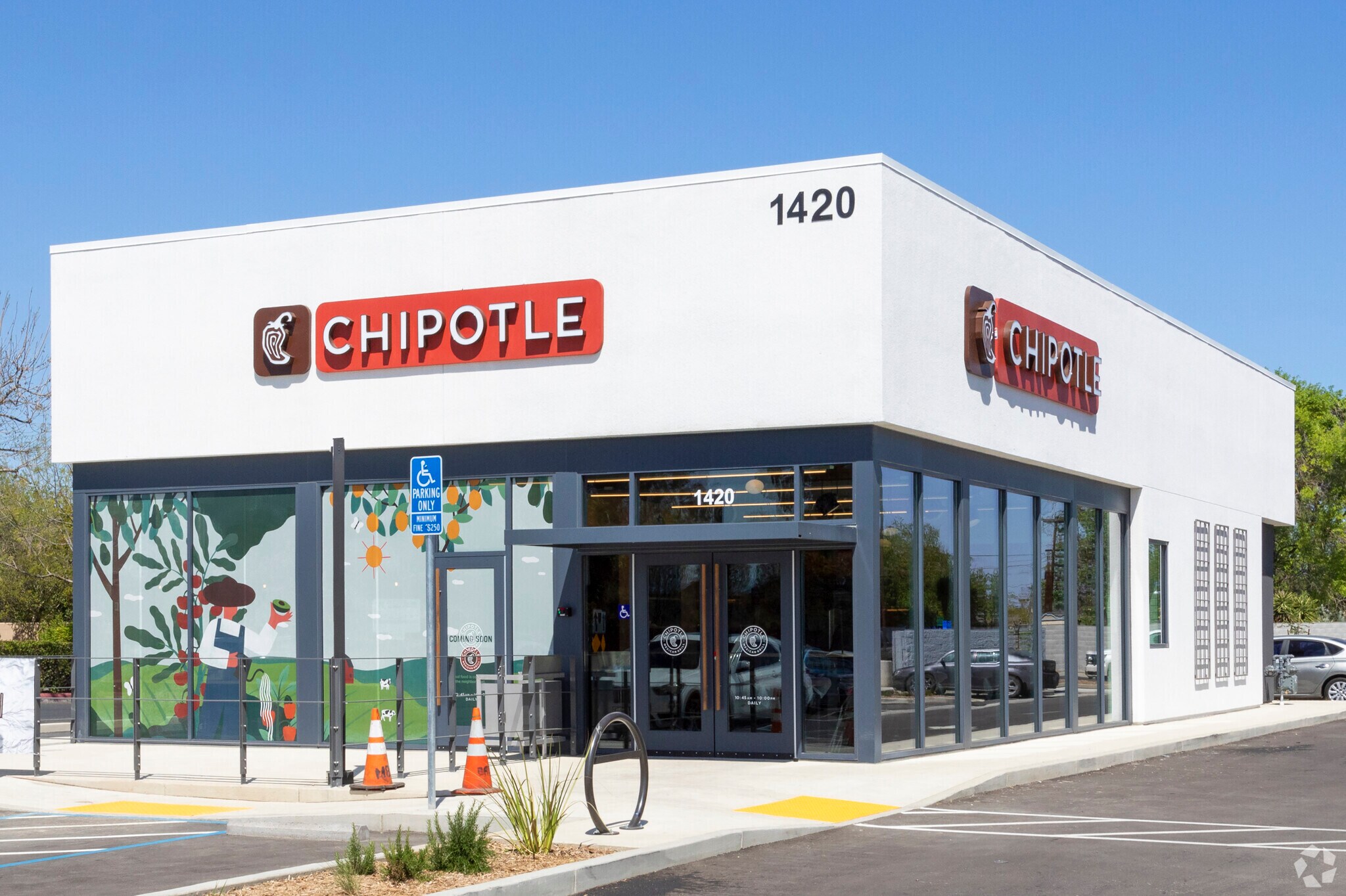 Chipotle Franchise